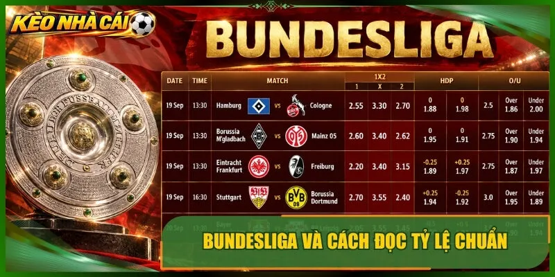 Bundesliga và cách đọc tỷ lệ chuẩn