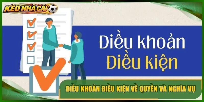 Điều khoản điều kiện về quyền và nghĩa vụ thành viên